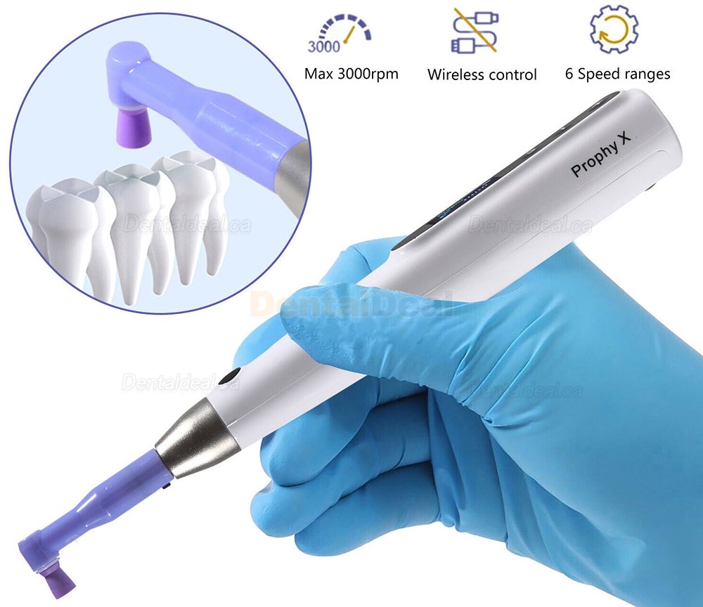 Electric Dental Hygiene Prophy Handpiece 360&deg; Swivel + 2 Prophy Angles